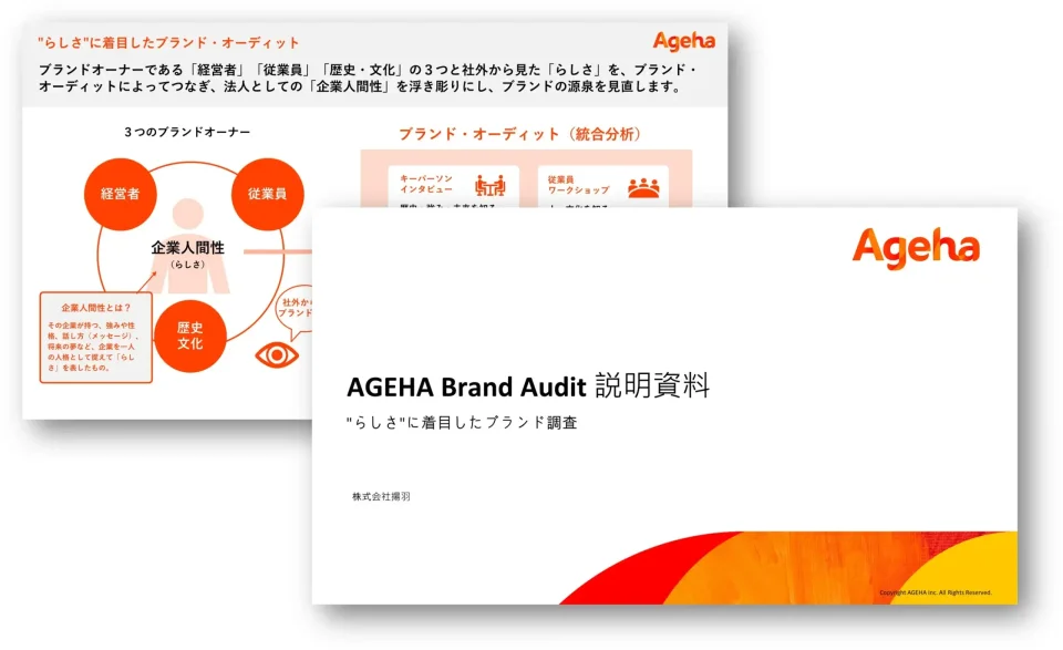 AGEHA Brand Audit